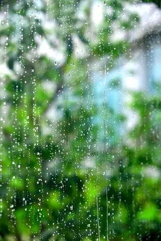 窗口、涓流、夏季、输出、非、绿色、天气、下降