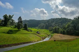 绿色，草地，山脉，河流，宽阔，草地，树木，蓝色