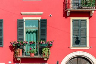 采购产品粉红色的花，植物，百叶窗，窗户，阳台，陶器，花瓶，罐子