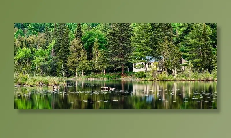 小屋、森林、草地、湖泊、景观、自然、户外、全景