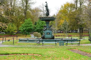 哈利法克斯，自然，加拿大，秋天，公园，自然，加拿大，公园-人造空间，树