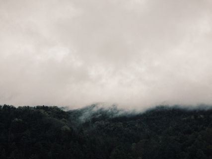 白云上绿叶树木