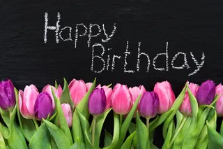 粉色，紫色，郁金香，快乐，生日插图，花朵，春天，生日