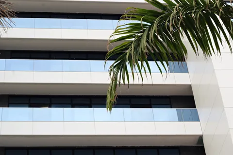 家居装饰、树木、窗户、棕榈树、植物、槟榔科、建筑、建筑