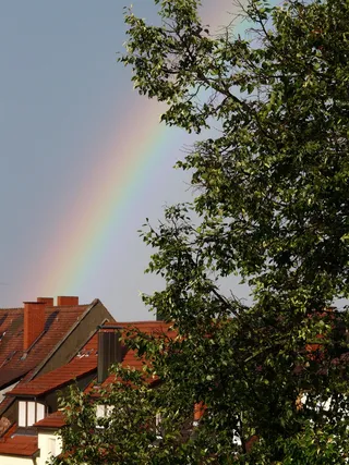 彩虹，城市，树，天空，颜色，彩虹颜色，天气，天气现象