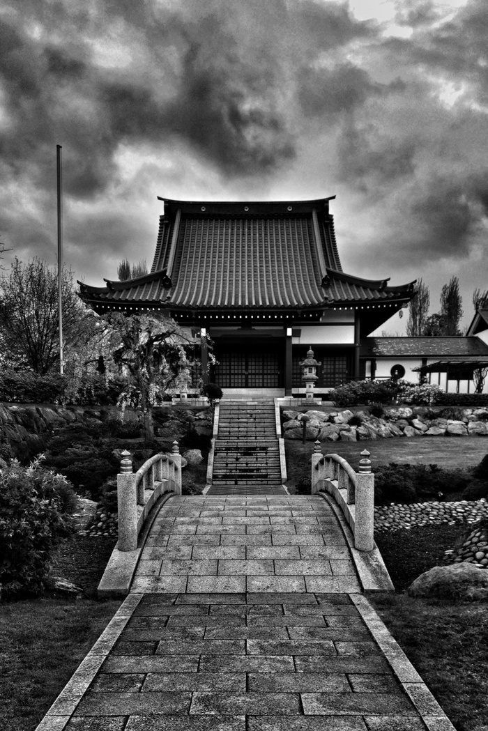 寺庙，日本，eko，豪斯，杜塞尔多夫，日本，文化，禅宗