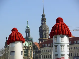 山猫、家居、广告支柱、隔热、帽子、德累斯顿、广告、广告空间