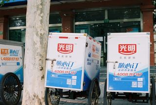 两辆白色封闭拖车