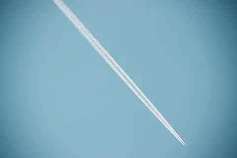 飞行,动物,鸟类,中国,天津,运输,飞机,飞机 飞行,动物,鸟类,中国,天津,运输,飞机,飞机