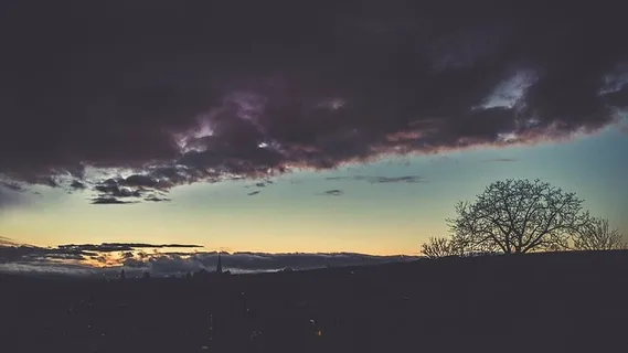 风景摄影,树木,戏剧,天空,剪影,摄影,无叶,日落 风景摄影,树木,戏剧,天空,剪影,摄影,无叶,日落