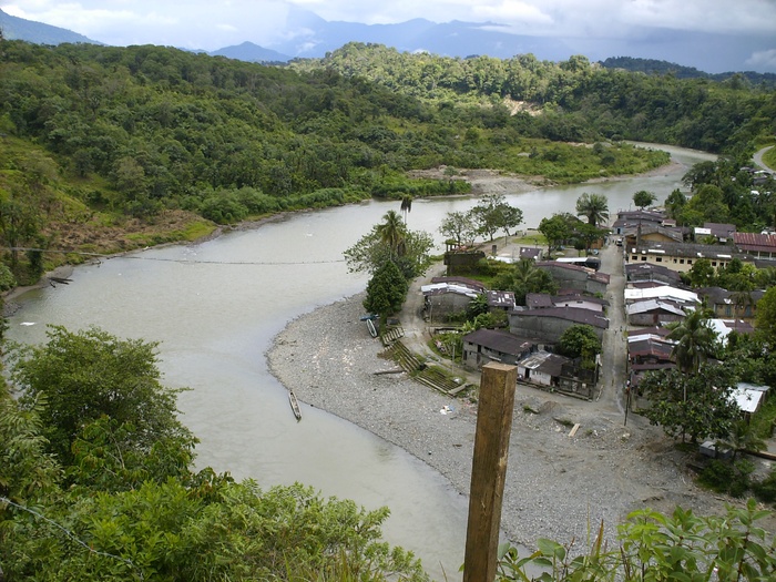 南美洲哥伦比亚*巴加多市科科部植物、树木、水、生长