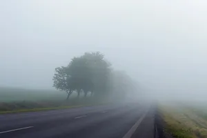 雾，树，路，巷，路，草，冒险，旅行