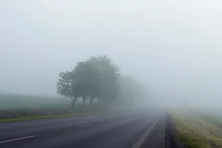 雾，树，路，巷，路，草，冒险，旅行