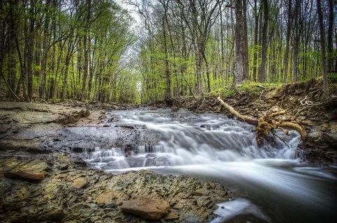 美国，蒙哥马利，空心路，森林，长时间曝光，天空，溪流，岩石