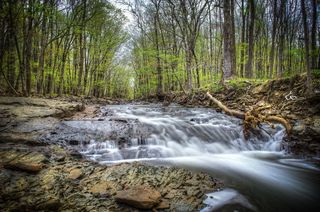 美国，蒙哥马利，空心路，森林，长时间曝光，天空，溪流，岩石