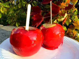 糖果，苹果，收获，秋天，节日，红色，水果，甜点