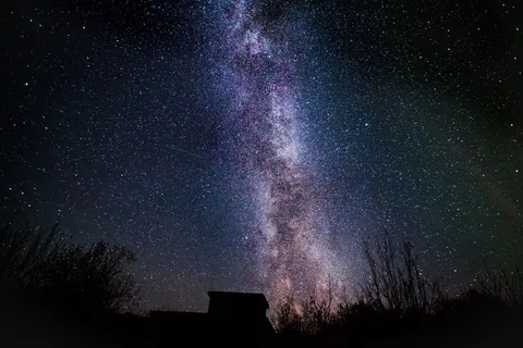 夜晚的星星 夜晚的星星