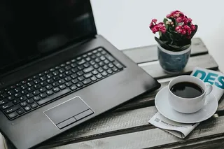 花盆里放着各种各样的粉红色小花