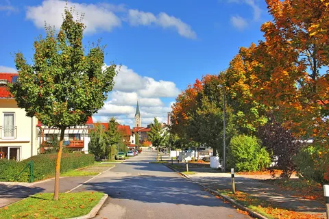 树,秋天,自然,道路,公园,天空,朔维特,植物 树,秋天,自然,道路,公园,天空,朔维特,植物