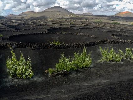 自然、户外、高原、荒野、地面、乡村、斜坡、小山