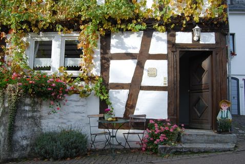 家，桁架，邀请，植物，建筑，花卉，建筑结构，生长