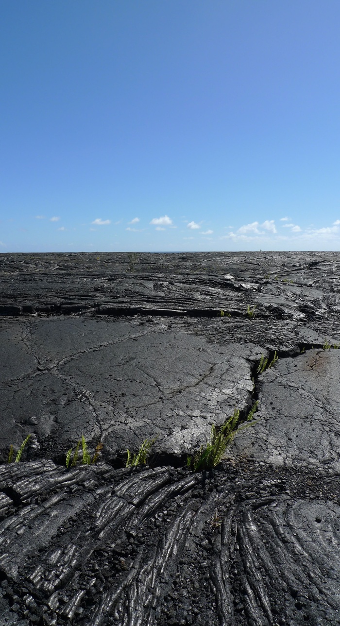 熔岩，夏威夷，自然，pāhoehoe，岛屿，火山，岩石，地质学