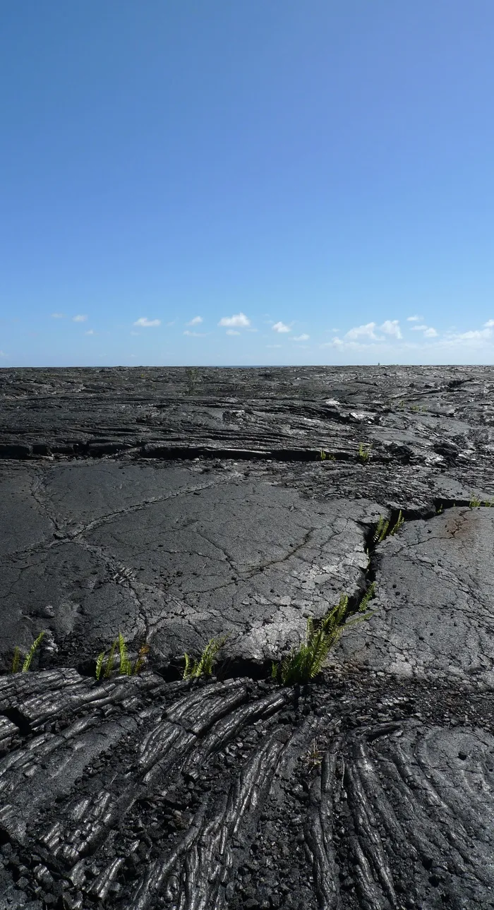熔岩，夏威夷，自然，pāhoehoe，岛屿，火山，岩石，地质学