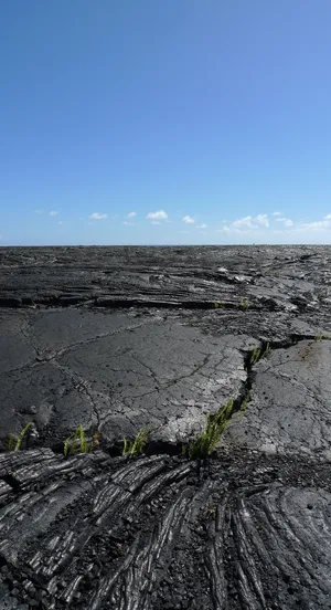 熔岩,夏威夷,自然,pāhoehoe,岛屿,火山,岩石,地质学 熔岩,夏威夷,自然,pāhoehoe,岛屿,火山,岩石,地质学