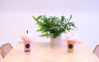 美国，斯科茨代尔，绿色，甜味，棉花糖，粉色，咖啡，波巴