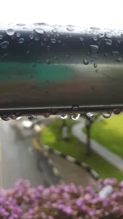 自然、颜色、特写、清洁、h2o、反射、水滴、植物群