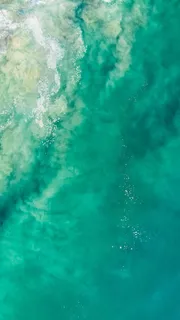 水体的特写摄影 水体的特写摄影