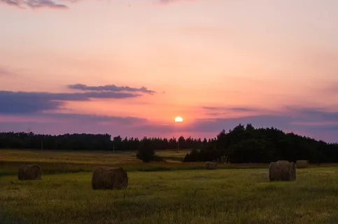 八月、堆叠、夏天、傍晚、稻草、干草、田野、景观 八月、堆叠、夏天、傍晚、稻草、干草、田野、景观
