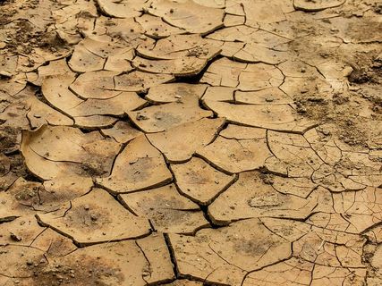 干燥，棕色，土壤，白天，土壤，粘土，干燥，干燥粘土