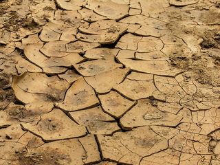 干燥，棕色，土壤，白天，土壤，粘土，干燥，干燥粘土