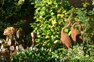 采购产品鸟，动物，不锈钢，花园，鸟，金属，塑料，植物