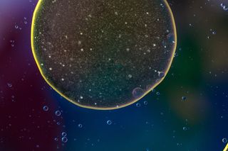 水中油, 油眼, 液体, 摘要, 质地, 宏观, 油, 关闭