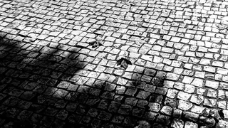 葡萄牙、波尔图、图案、高角度视图、鹅卵石、白天、无人、全框架