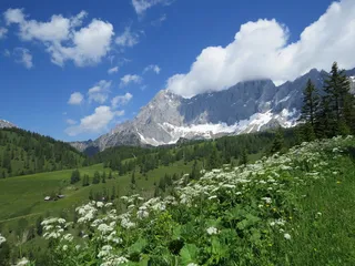dachstein、view、mountains、austria、blue sky、nature、clouds、alm