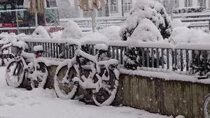 冬天，雪，棺材，自行车，沉淀，冬天的梦，寒冷的季节，圣诞节