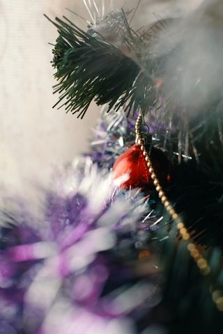 圣诞节，圣诞树，家庭，庆祝，冬天，圣诞树，装饰，装饰