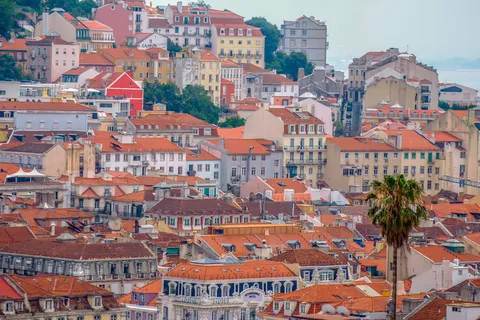 葡萄牙，里斯本，圣佩德罗·德阿尔坎塔拉，屋顶，棕榈树，房屋，里斯本，夏季