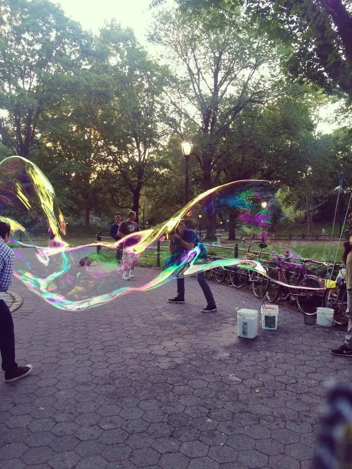 纽约，*公园，美国，下午，泡泡，植物，树，真人