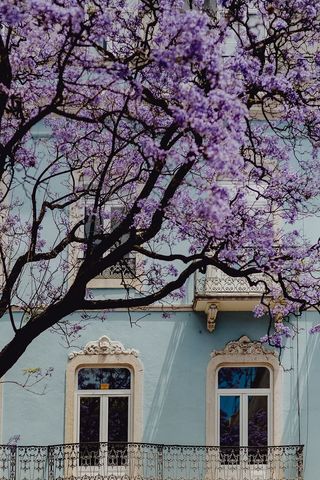 葡萄牙里斯本建筑