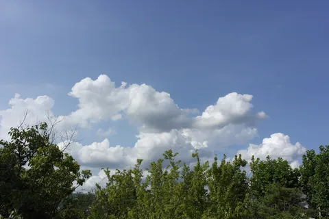 天空照片,云,云照片,天空,蓝色,木头,自然,自然 天空照片,云,云照片,天空,蓝色,木头,自然,自然
