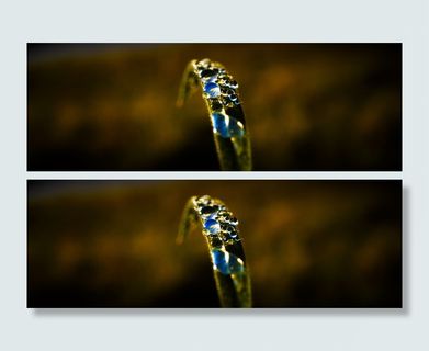 天空，小草，倒影，草地，特写，没有人，财富，单一物体