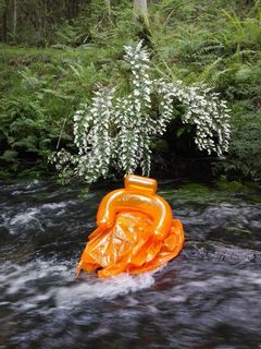 钓鱼, 垃圾, 保护, 水, 植物, 橙色, 海滨, 自然