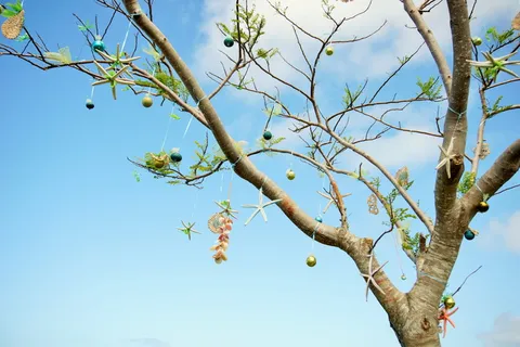 多云的天空下有圣诞小玩意的树 多云的天空下有圣诞小玩意的树