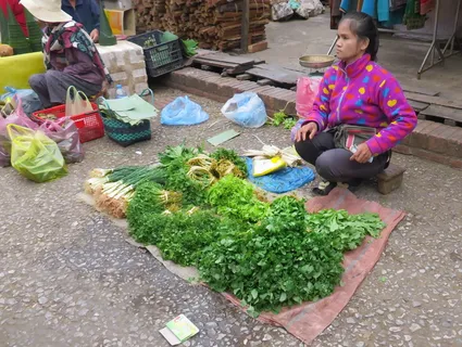老挝、市场、商人、蔬菜、粉色、电力、彩色、食品 老挝、市场、商人、蔬菜、粉色、电力、彩色、食品