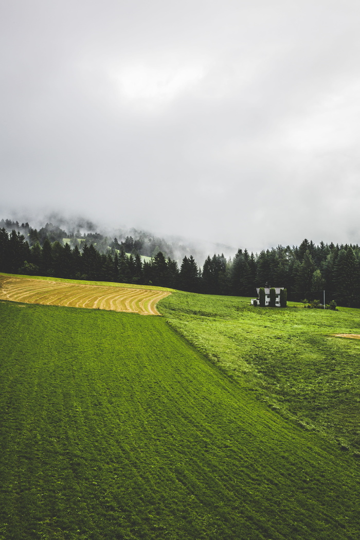 景观、自然、天空、云、多云、针叶树、乡村、环境