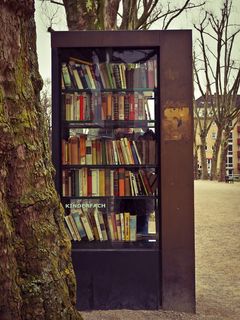 书架，书籍，阅读，书籍，文学，图书馆，二手，二手书